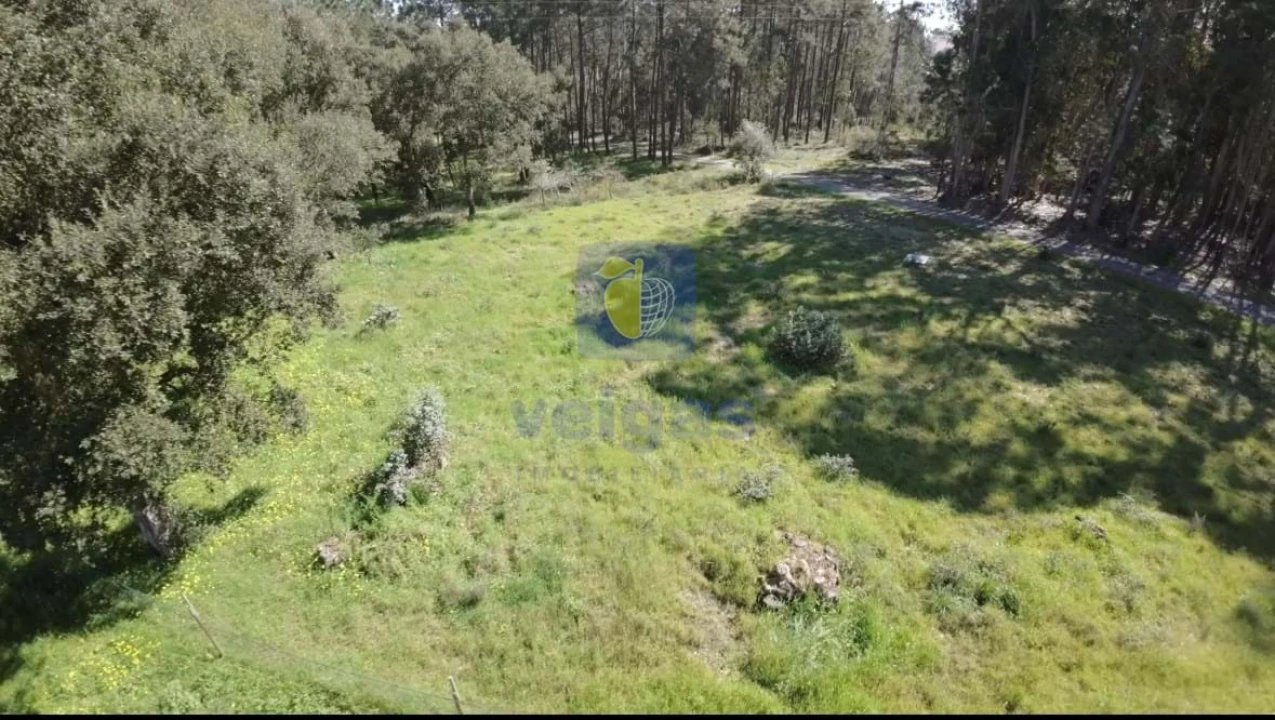 Terreno para Venda em Parceiros e Azoia Foto 3