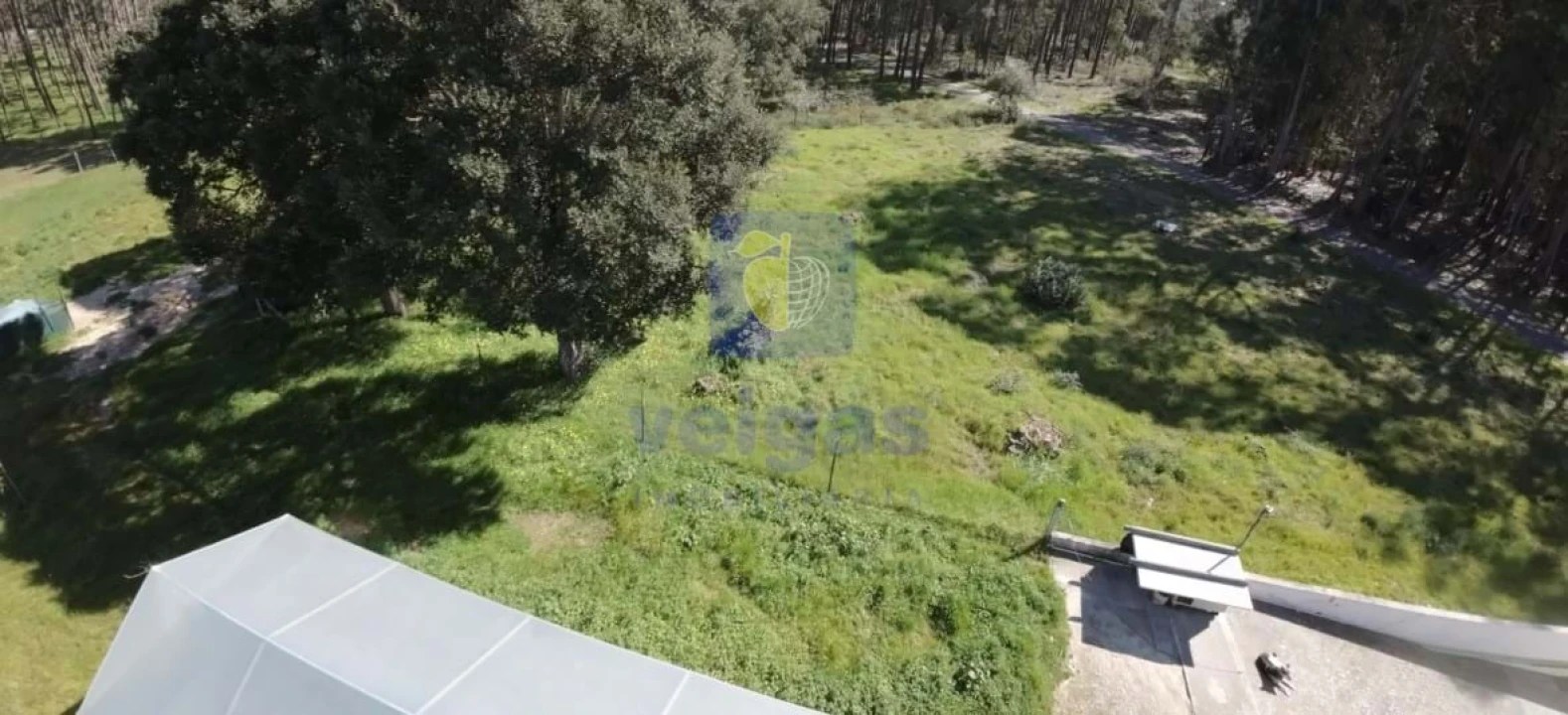 Terreno para Venda em Parceiros e Azoia Foto 5