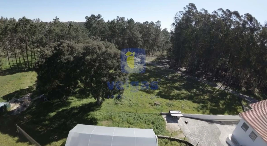 Terreno para Venda em Parceiros e Azoia Foto 4