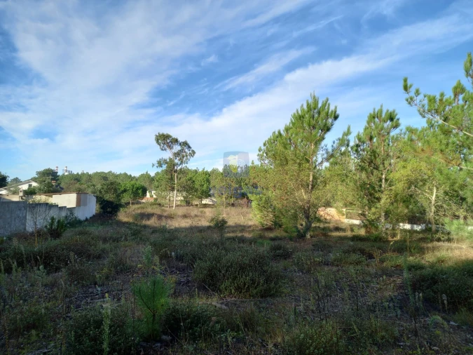 Terreno Agricola ou Rústico para Venda em Pataias e Martingança Foto 1
