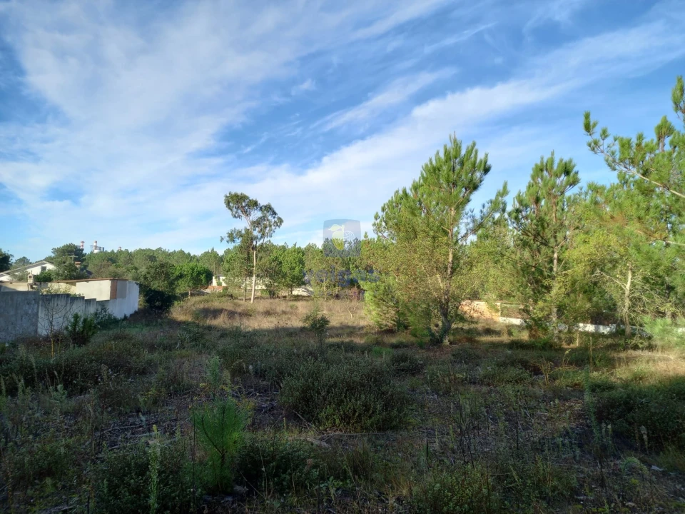 Terreno Agricola ou Rústico para Venda em Pataias e Martingança Foto 1