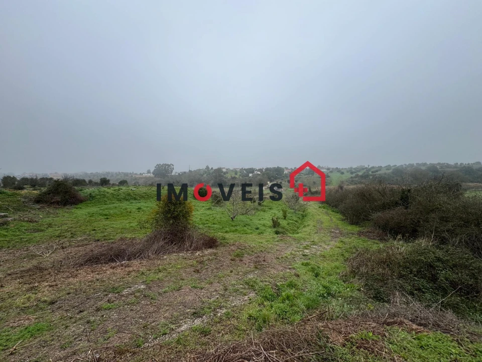 Terreno para Venda em Romeira e Várzea Foto 2