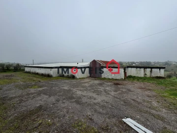 Terreno para Venda em Romeira e Várzea