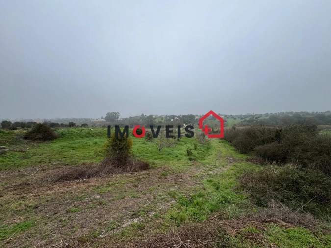 Terreno para Venda em Romeira e Várzea Foto 2