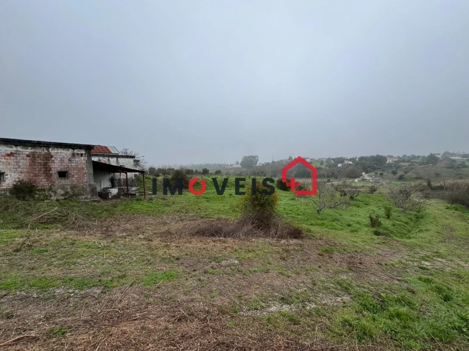 Terreno para Venda em Romeira e Várzea Foto 3