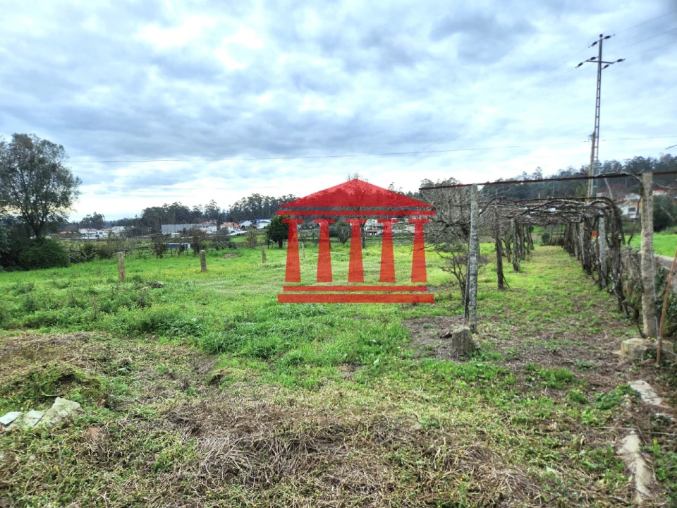 Terreno para Venda em Alheira e Igreja Nova Foto 13