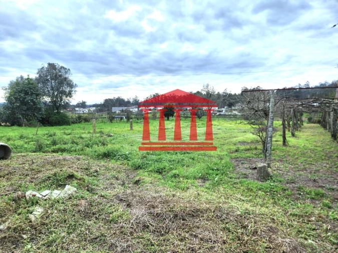 Terreno para Venda em Alheira e Igreja Nova Foto 14