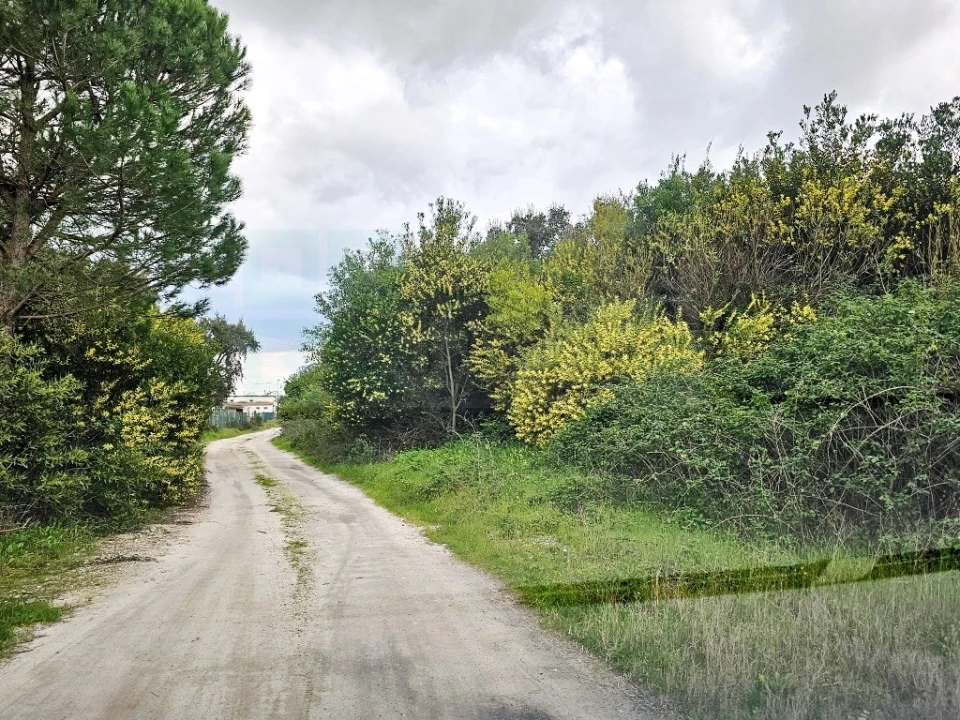 Terreno para Venda em Pegões Foto 12