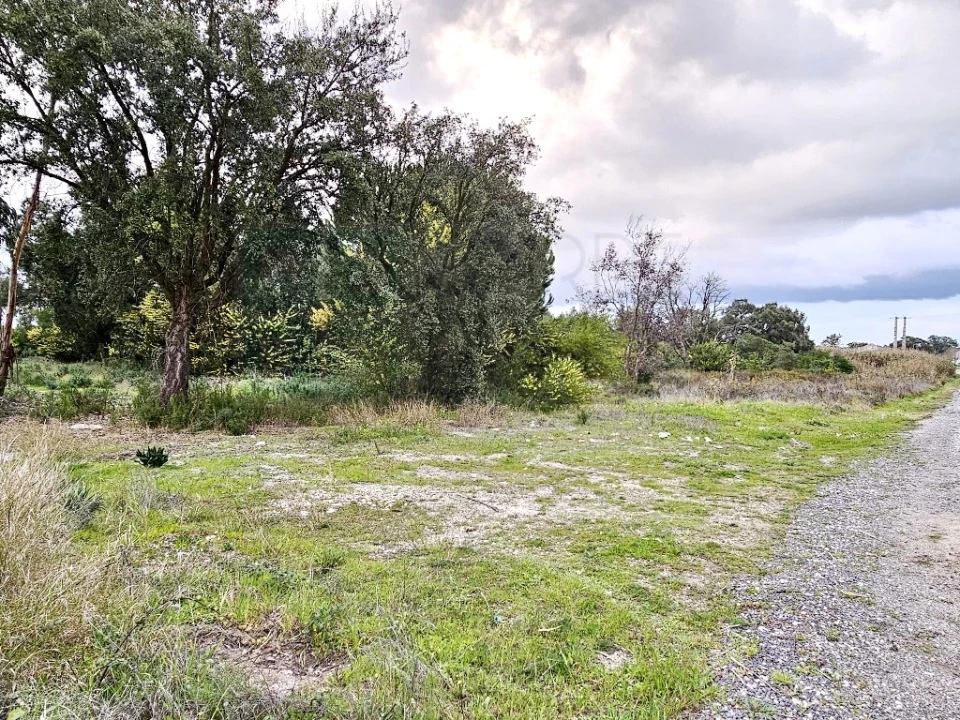 Terreno para Venda em Pegões Foto 18
