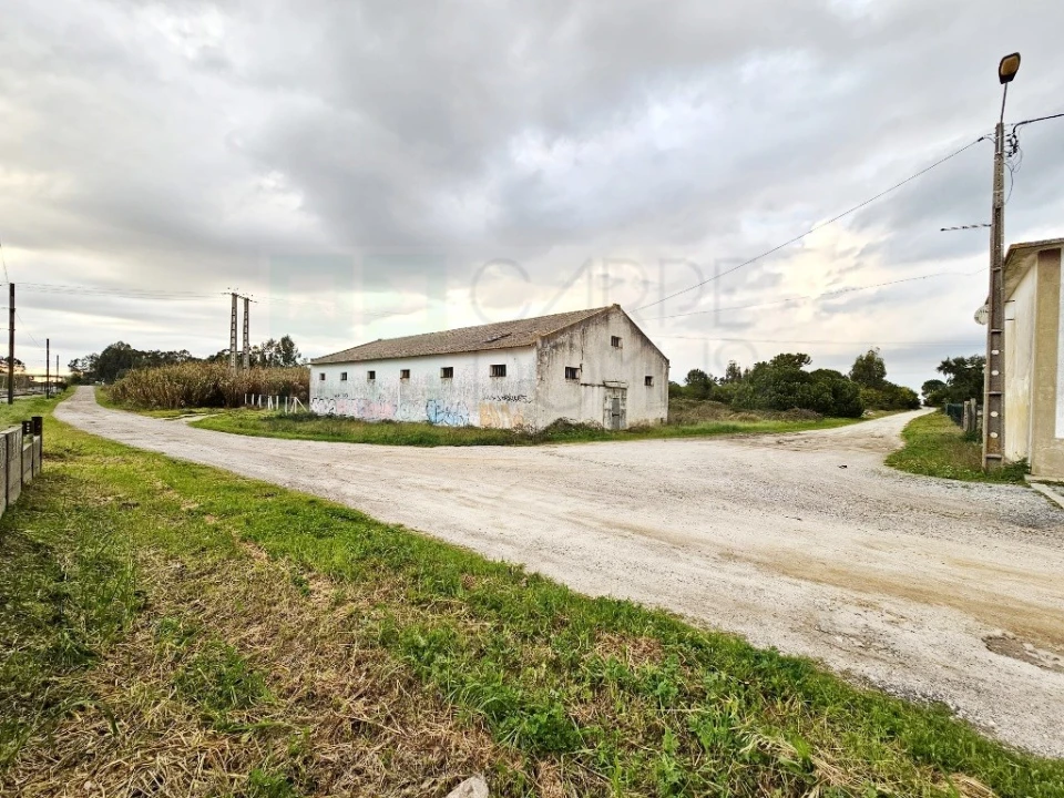 Terreno para Venda em Pegões Foto 19