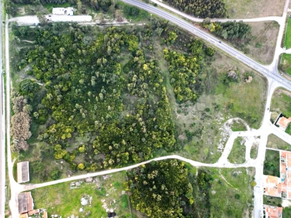 Terreno para Venda em Pegões Foto 31