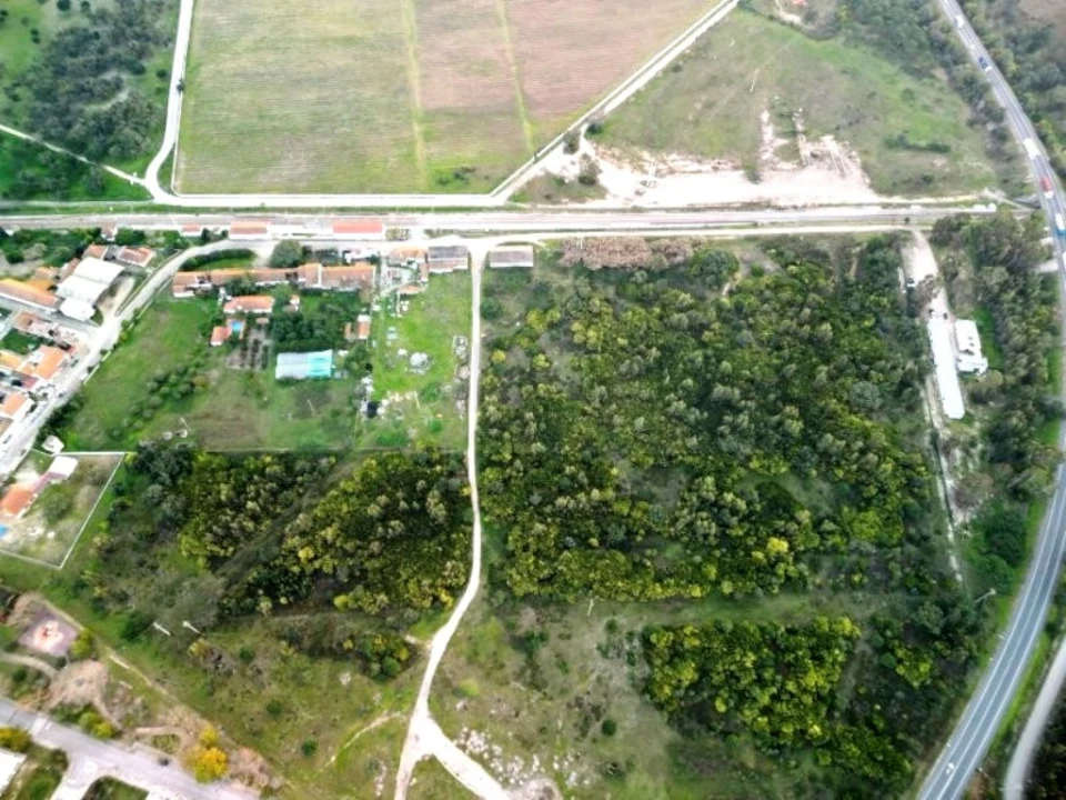 Terreno para Venda em Pegões Foto 32