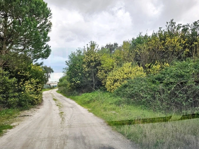 Terreno para Venda em Pegões Foto 12