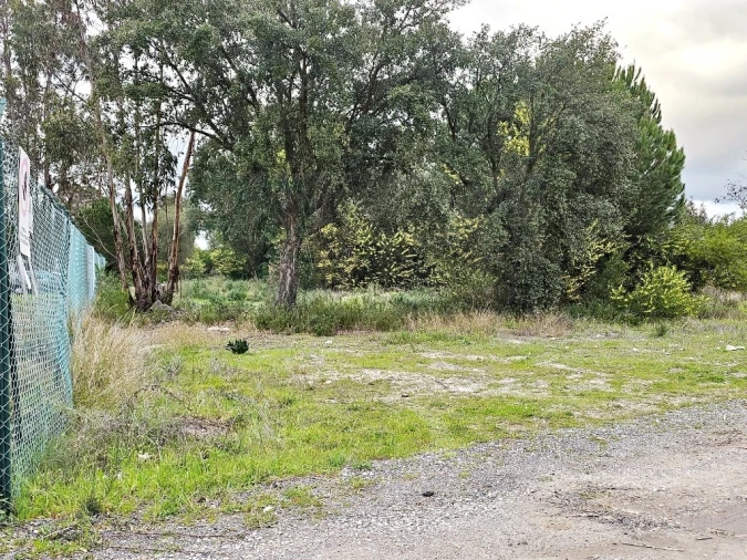 Terreno para Venda em Pegões Foto 22