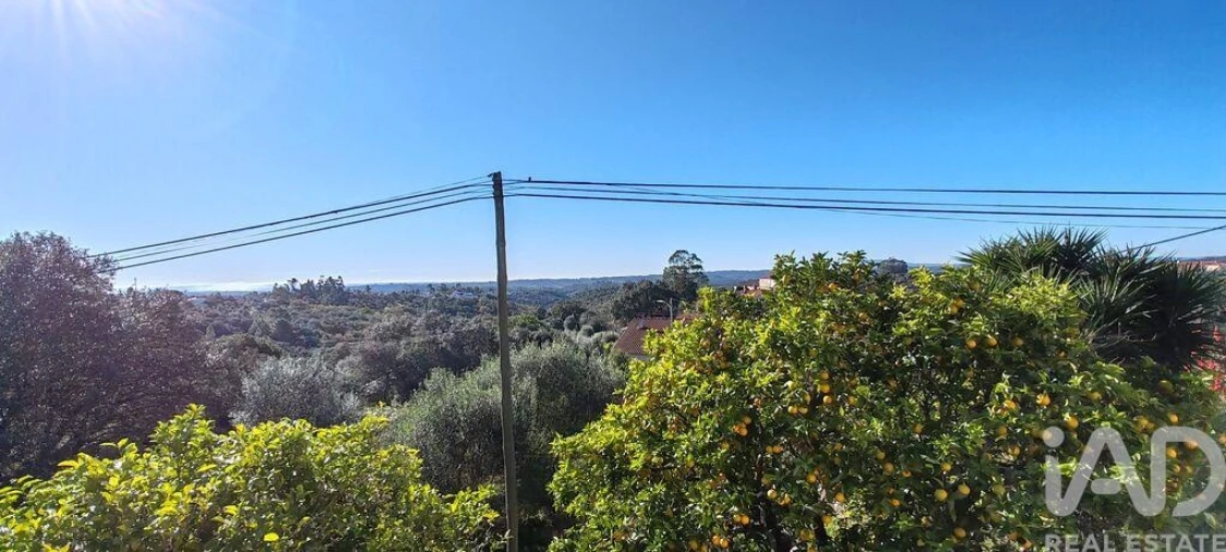 Moradia T3 para Venda em Além da Ribeira e Pedreira Foto 29