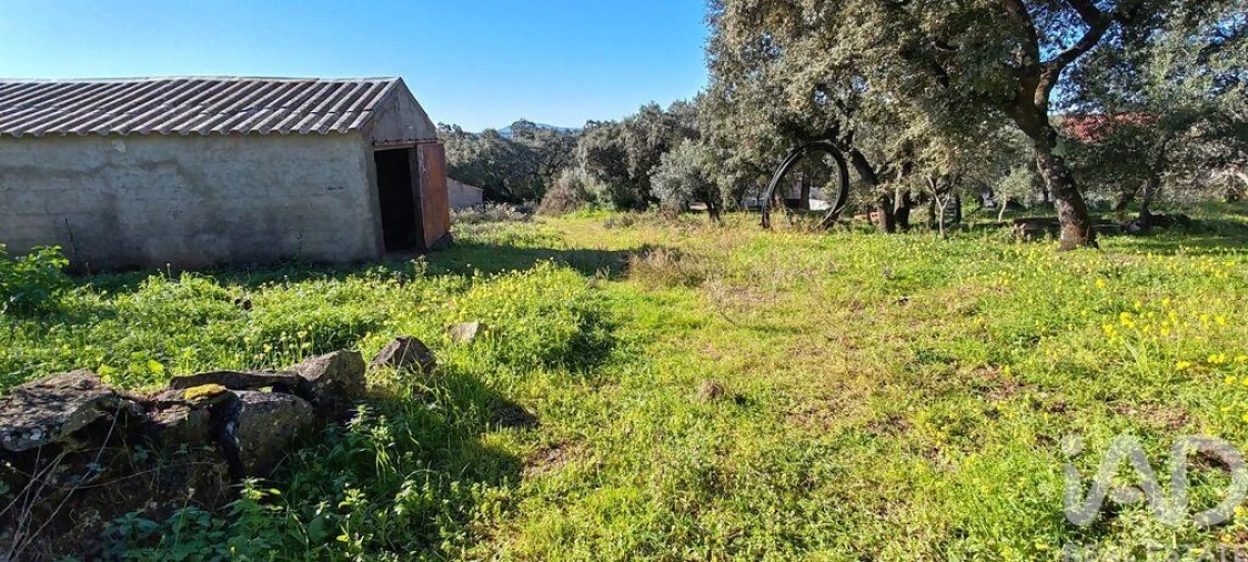 Moradia T3 para Venda em Além da Ribeira e Pedreira Foto 28
