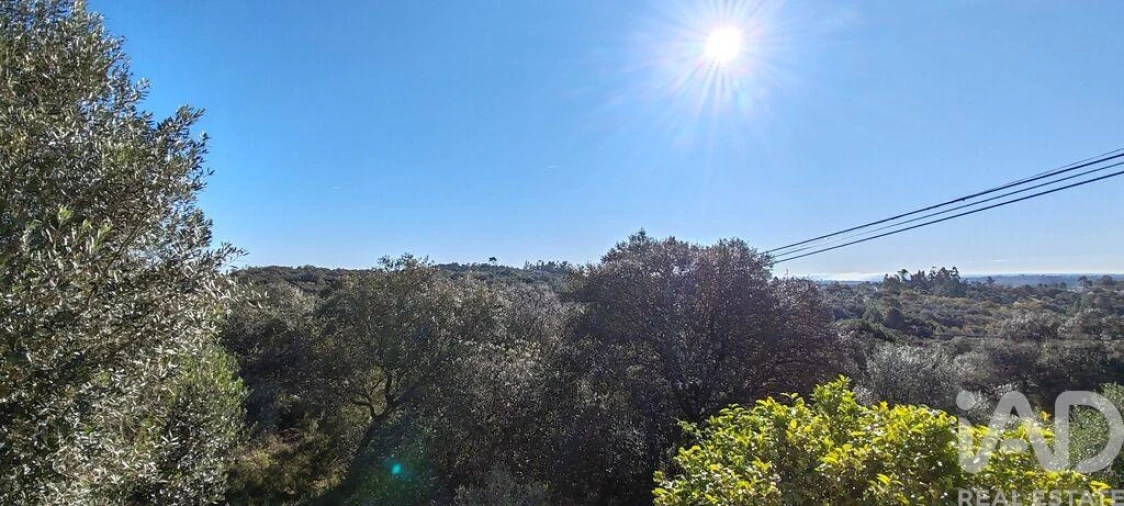 Moradia T3 para Venda em Além da Ribeira e Pedreira Foto 30