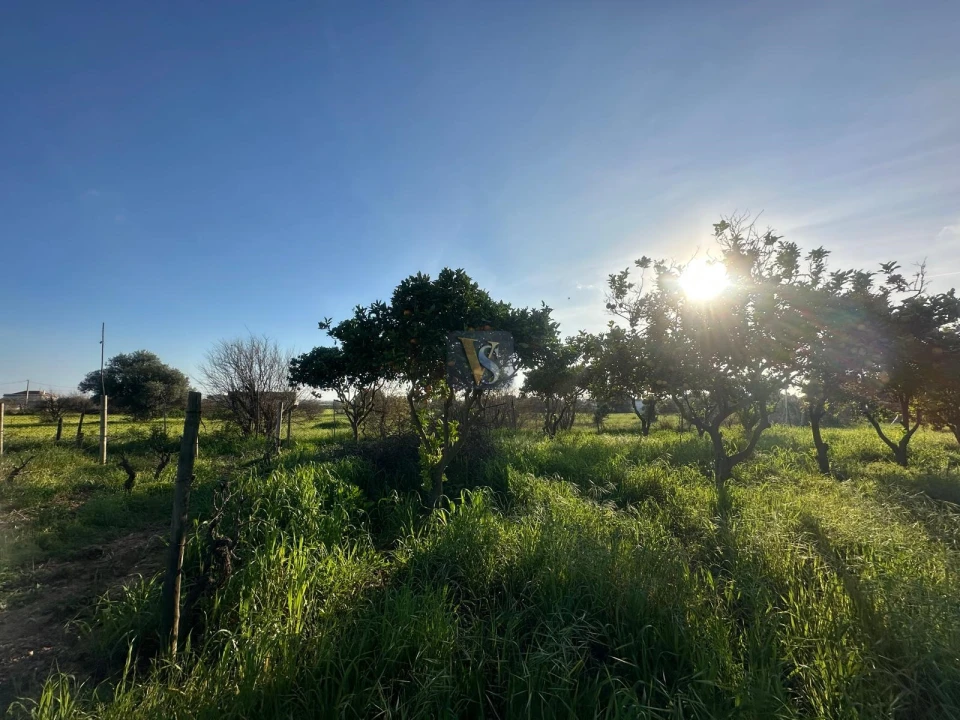 Moradia T3 para Venda em Quelfes Foto 62