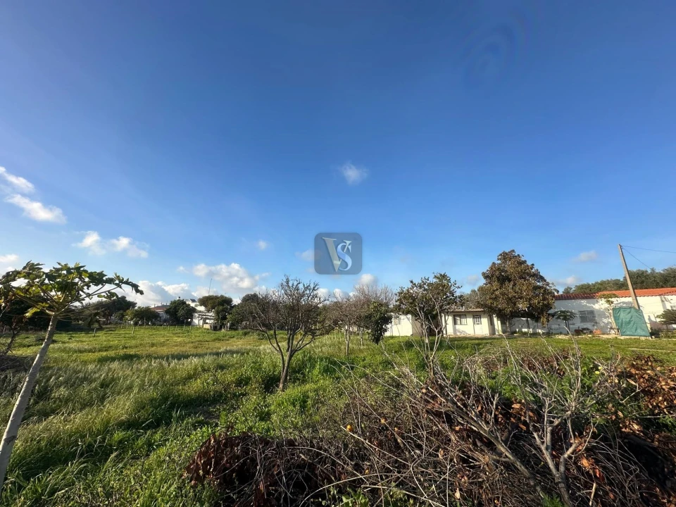 Moradia T3 para Venda em Quelfes Foto 59