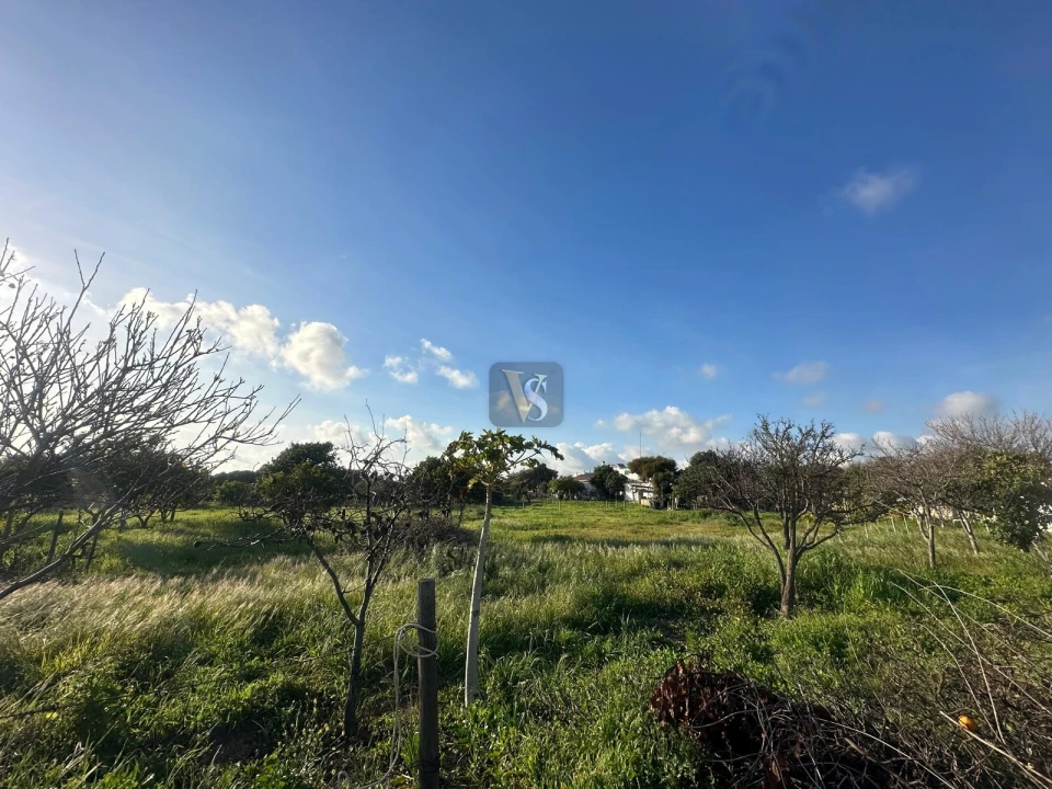 Moradia T3 para Venda em Quelfes Foto 55