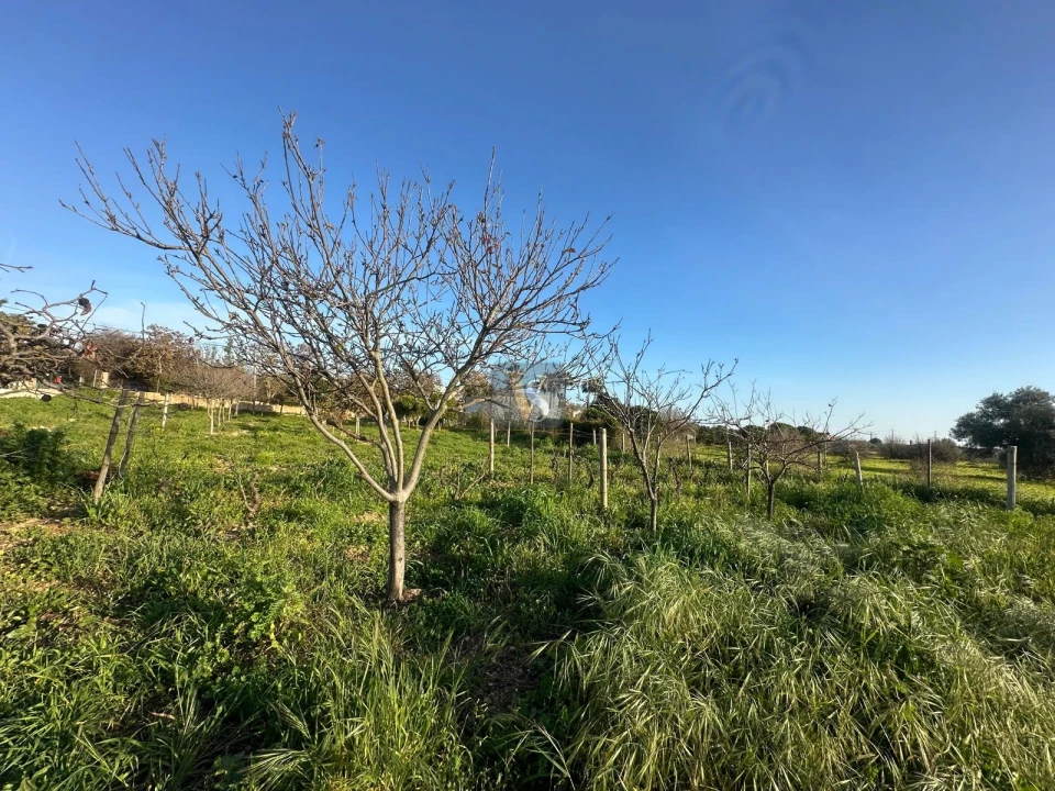 Moradia T3 para Venda em Quelfes Foto 65