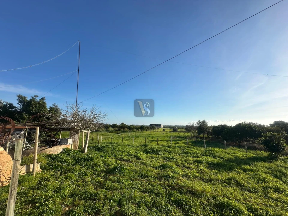 Moradia T3 para Venda em Quelfes Foto 43