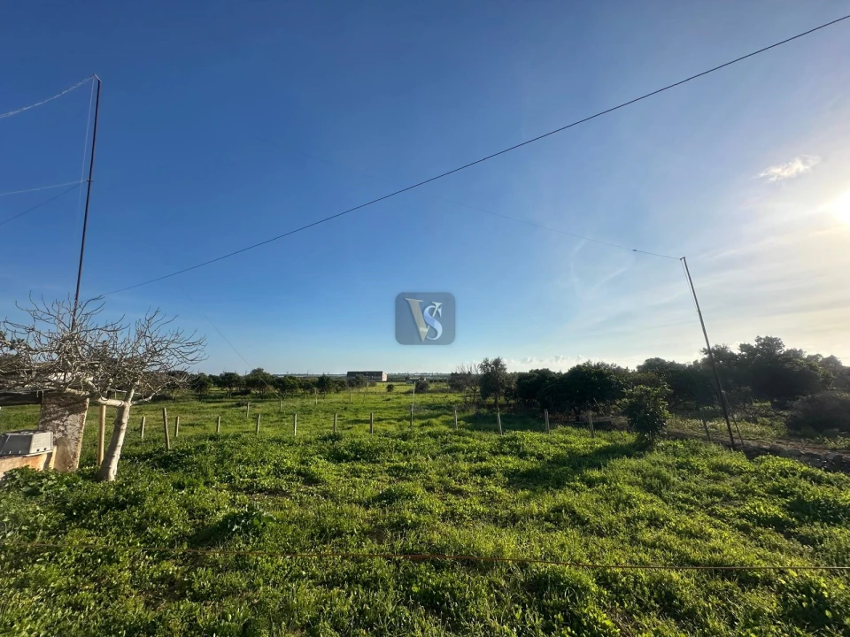 Moradia T3 para Venda em Quelfes Foto 44