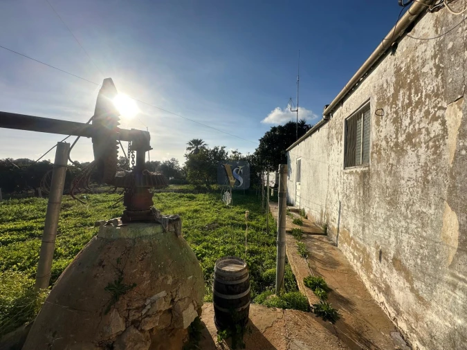 Moradia T3 para Venda em Quelfes Foto 32