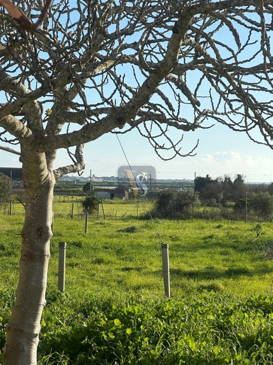 Moradia T3 para Venda em Quelfes Foto 39