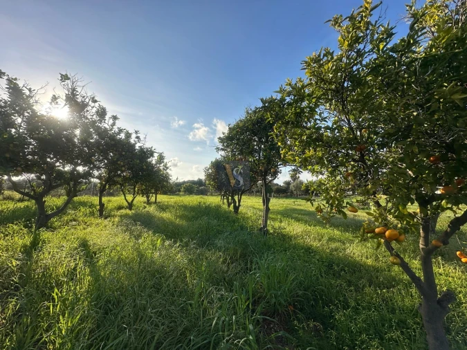 Moradia T3 para Venda em Quelfes Foto 4