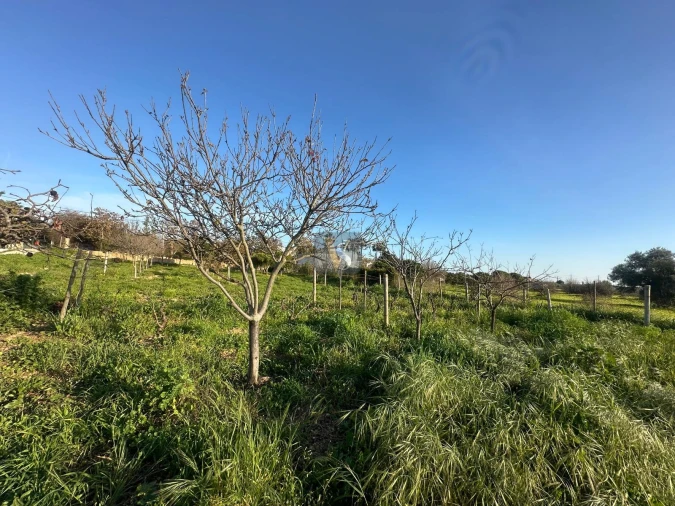 Moradia T3 para Venda em Quelfes Foto 65