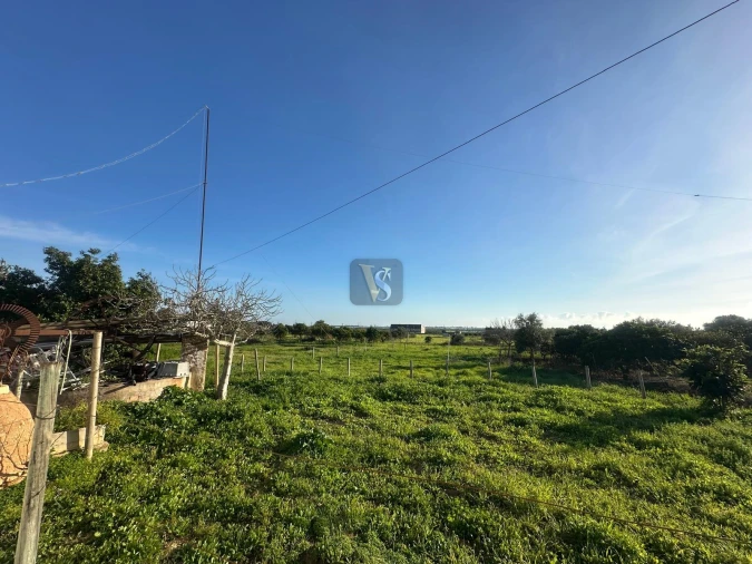 Moradia T3 para Venda em Quelfes Foto 43