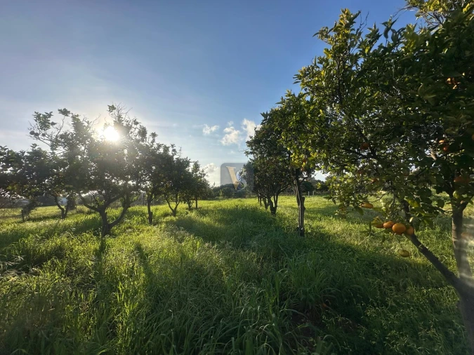 Moradia T3 para Venda em Quelfes Foto 60