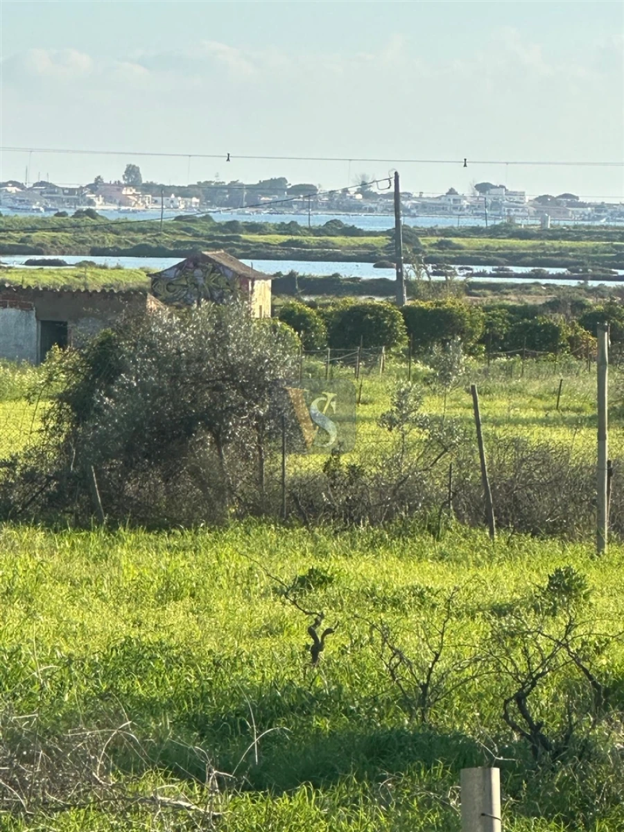 Moradia T3 para Venda em Quelfes