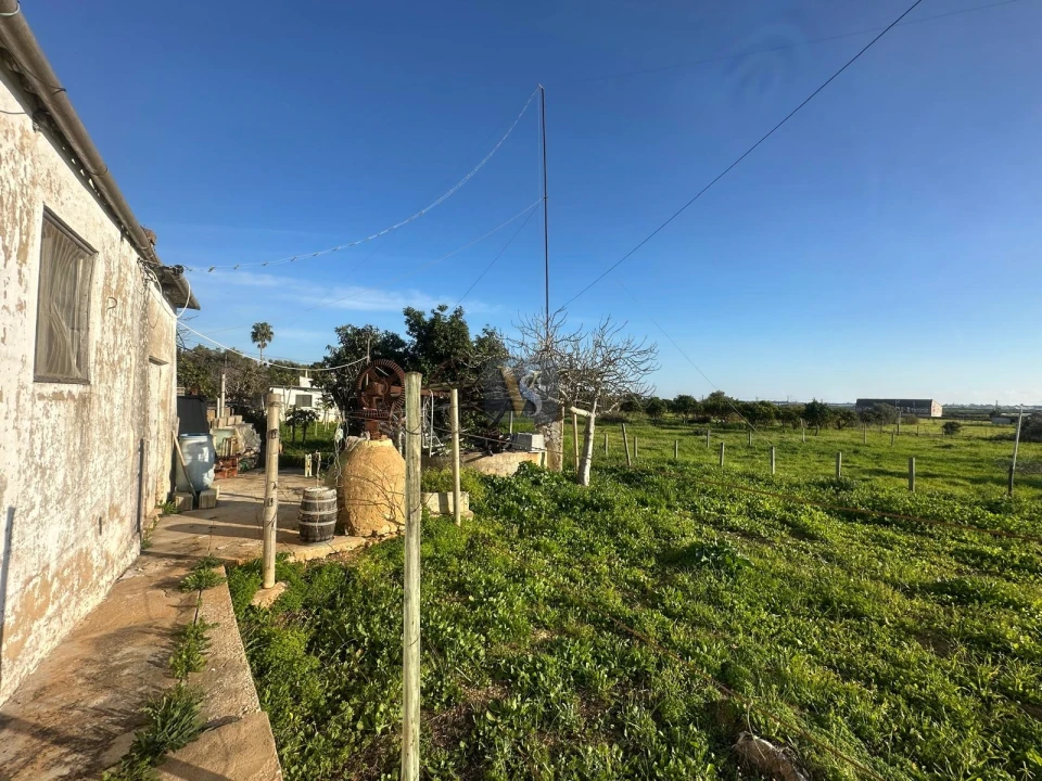 Moradia T3 para Venda em Quelfes Foto 37