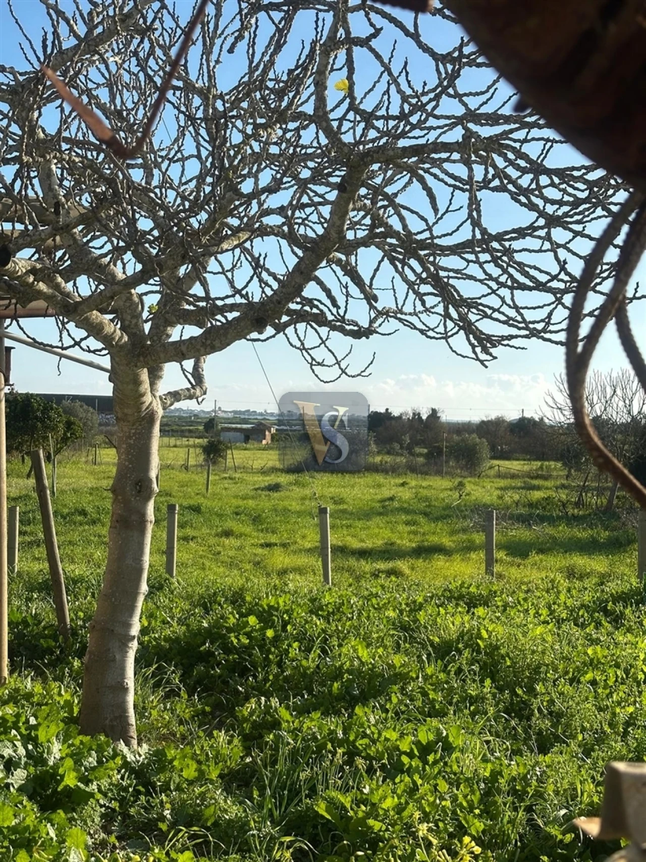 Moradia T3 para Venda em Quelfes Foto 3