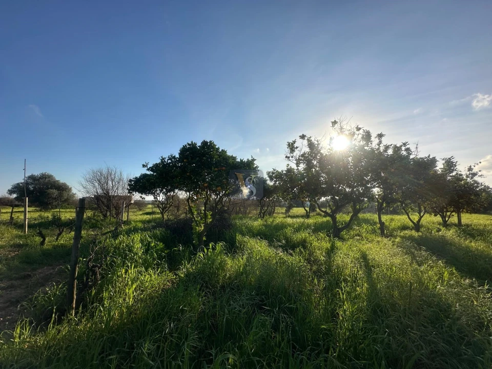 Moradia T3 para Venda em Quelfes Foto 56