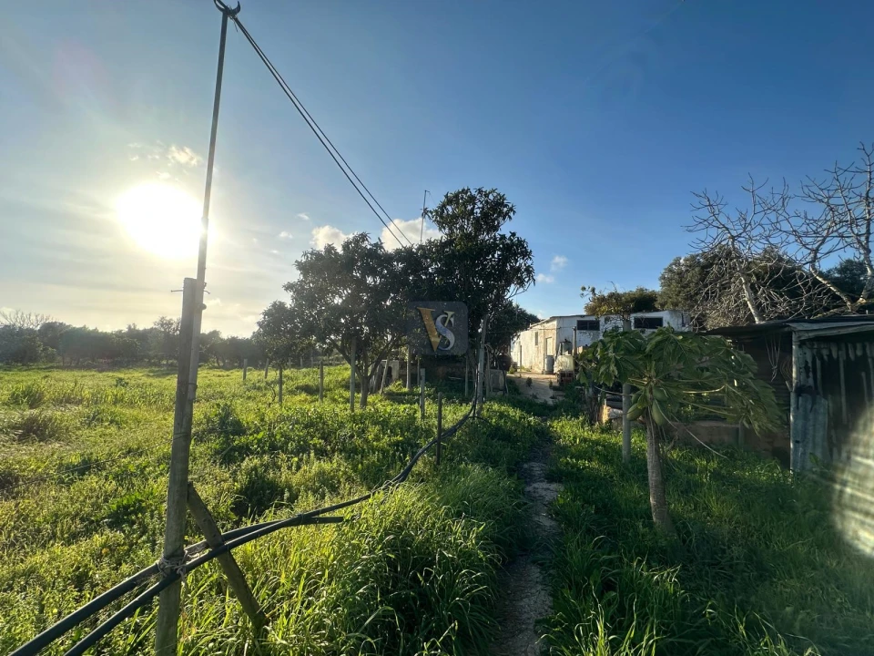 Moradia T3 para Venda em Quelfes Foto 49