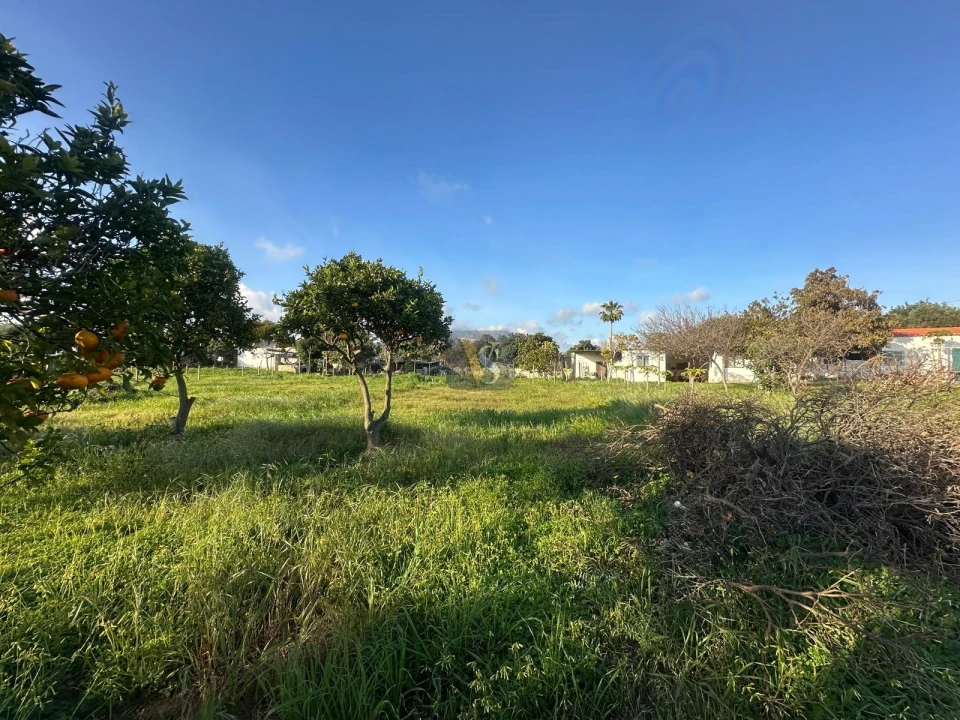 Moradia T3 para Venda em Quelfes Foto 57