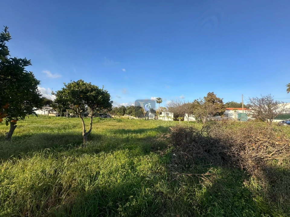 Moradia T3 para Venda em Quelfes Foto 61