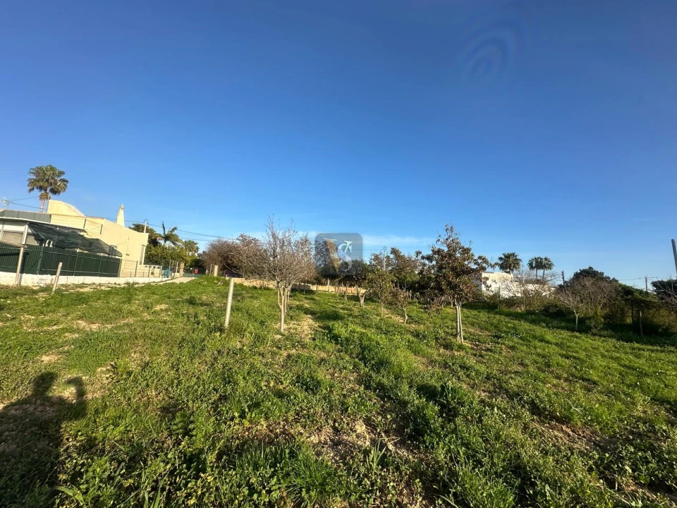 Moradia T3 para Venda em Quelfes Foto 64