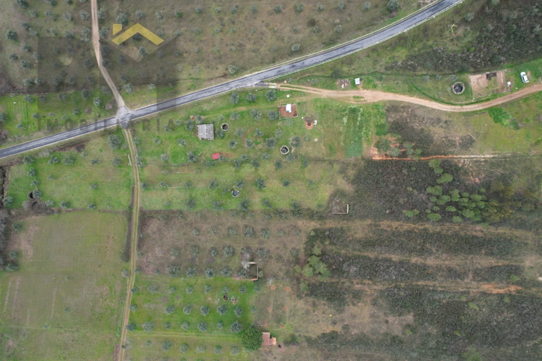 Terreno Agricola ou Rústico para Venda em Freixial e Juncal do Campo Foto 3