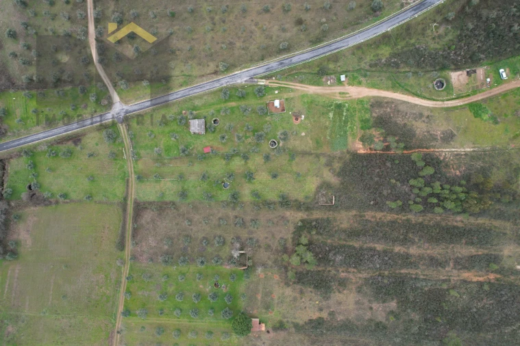 Terreno Agricola ou Rústico para Venda em Freixial e Juncal do Campo Foto 3