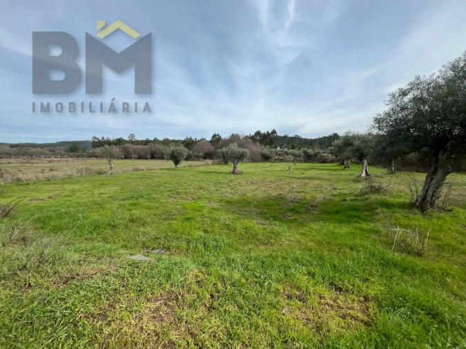 Terreno Agricola ou Rústico para Venda em Freixial e Juncal do Campo Foto 8