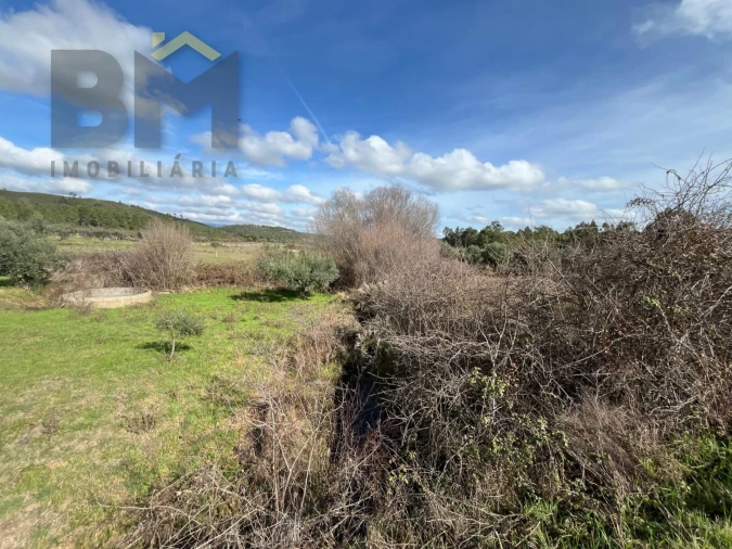 Terreno Agricola ou Rústico para Venda em Freixial e Juncal do Campo Foto 9