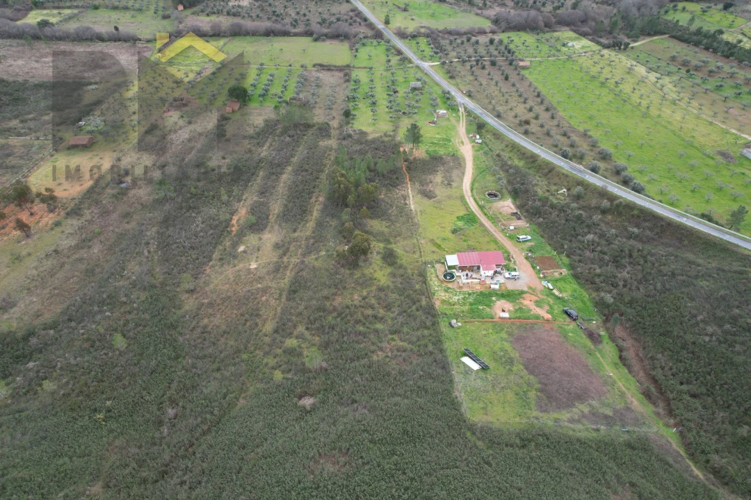 Terreno Agricola ou Rústico para Venda em Freixial e Juncal do Campo Foto 2