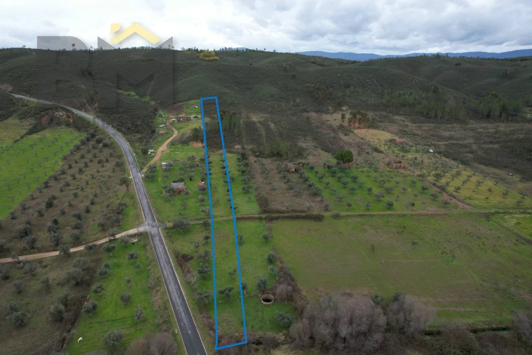 Terreno Agricola ou Rústico para Venda em Freixial e Juncal do Campo Foto 1