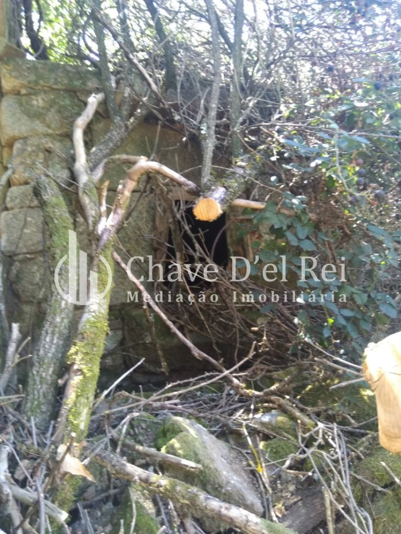 Moradia T5 para Venda em Santos Evos Foto 63