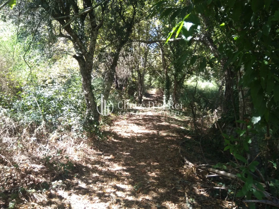 Moradia T5 para Venda em Santos Evos Foto 43