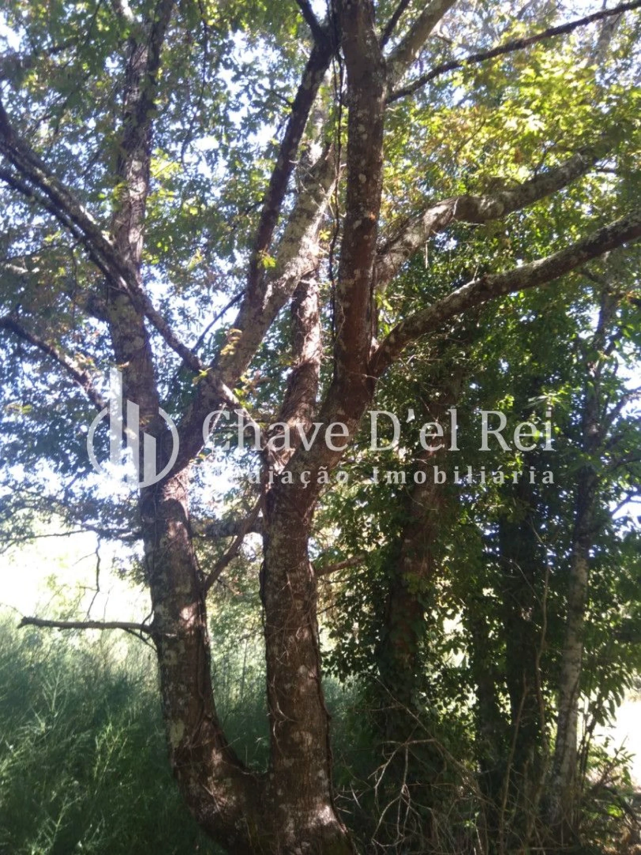 Moradia T5 para Venda em Santos Evos Foto 45